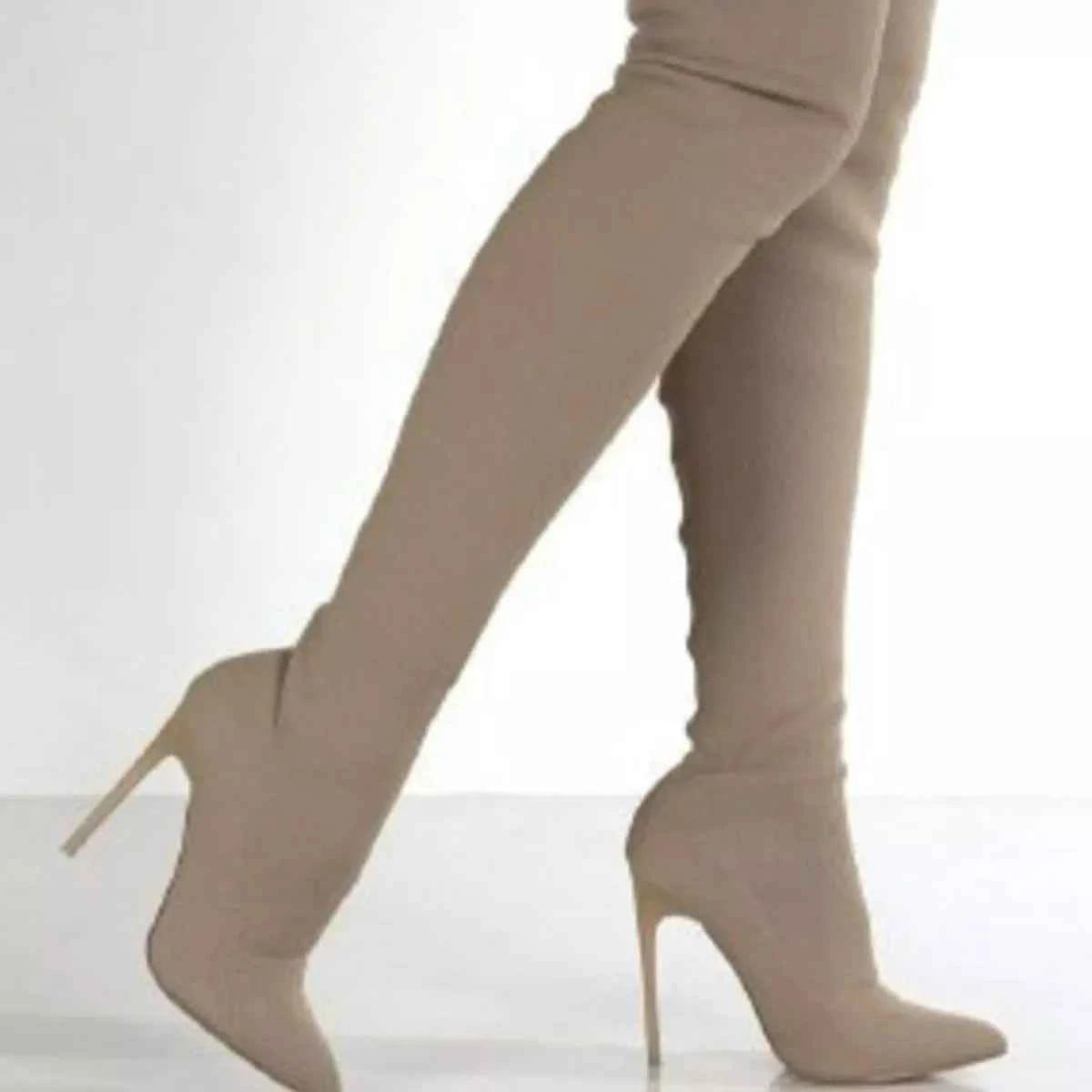 Point Toe Stiletto Boots